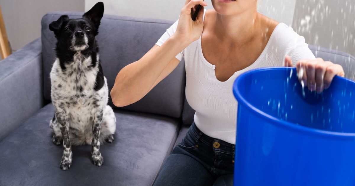 calling a pro to fix leaking window