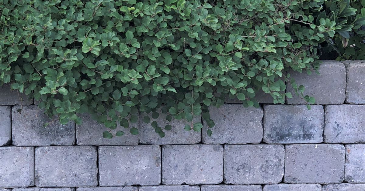 concrete block garden wall
